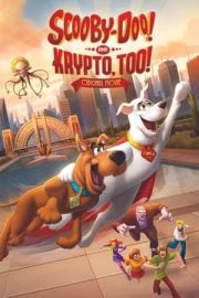 Scooby-Doo! and Krypto, Too! film inceleme